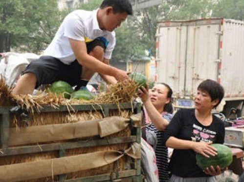 大城县吃瓜新闻事件,一场网络舆论的风暴与反思