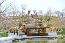 任丘网红公园在哪里啊,探寻这座城市的绿色新地标