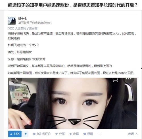 甄子丹吃瓜群众,揭秘娱乐圈“吃瓜”背后的真相