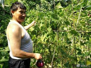 明星大衣哥自己种菜,倡导绿色生活新风尚