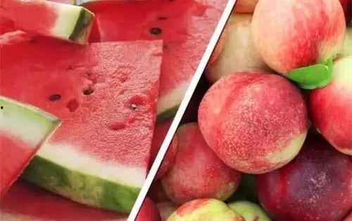 桃厂吃瓜样子,欢乐时光，尽享夏日清凉