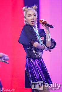 明星韩俊,闪耀星途，魅力无限