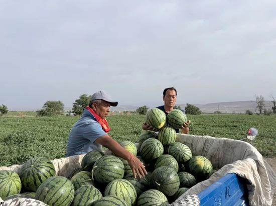 新区吃瓜,吃瓜群众揭秘幕后真相