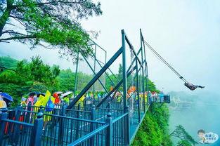 网红打卡景点瑞安天气,阳光明媚，畅游无忧