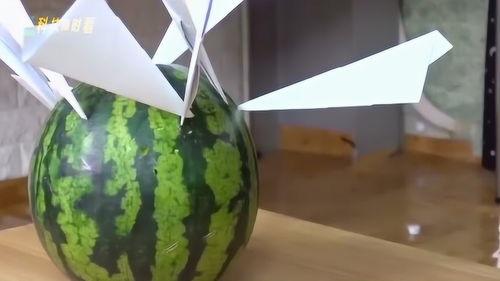 纸飞机在哪里吃瓜,探寻空中美食之旅